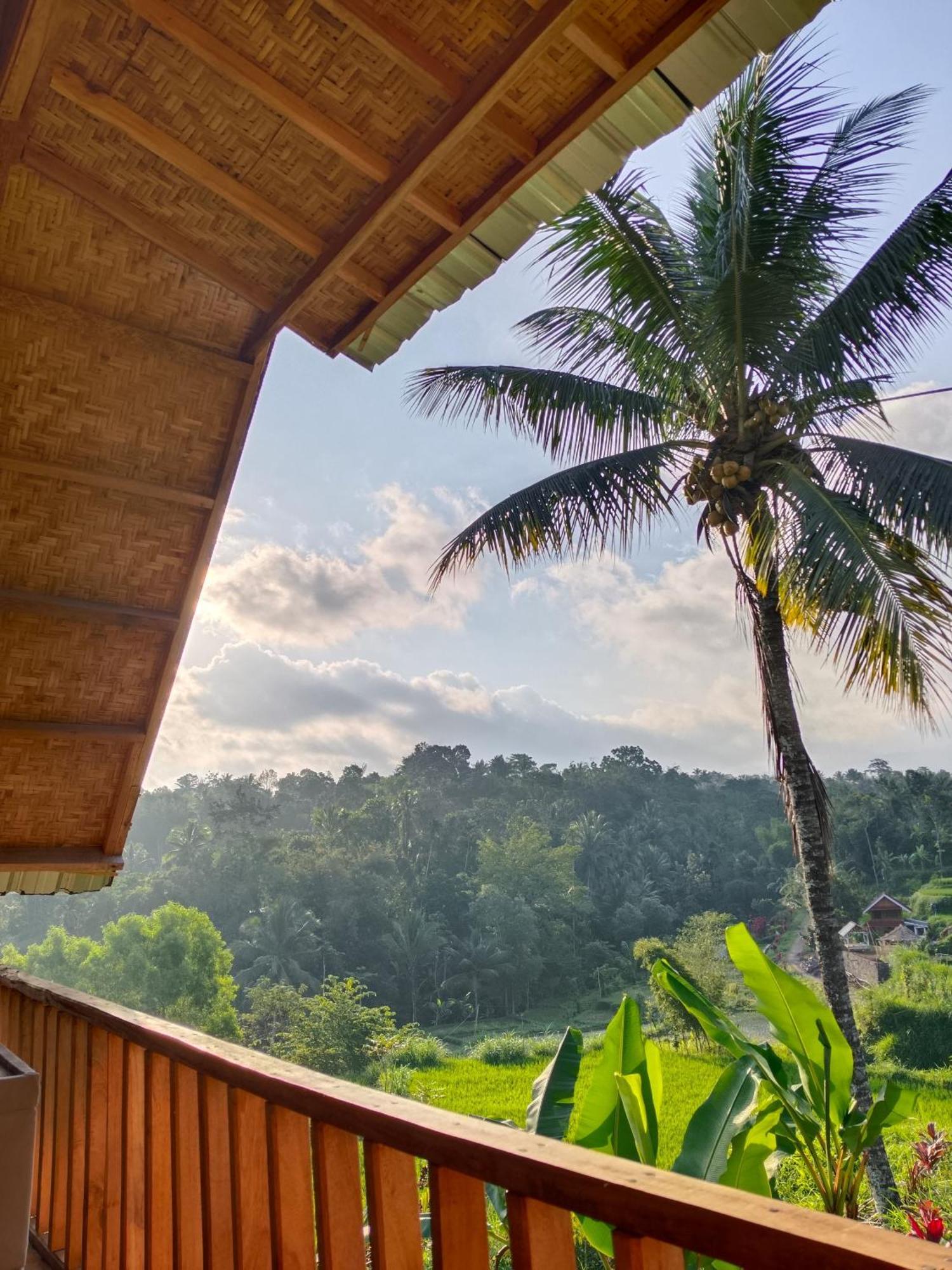 Dewi Rinjani Homestay 테테바투 외부 사진