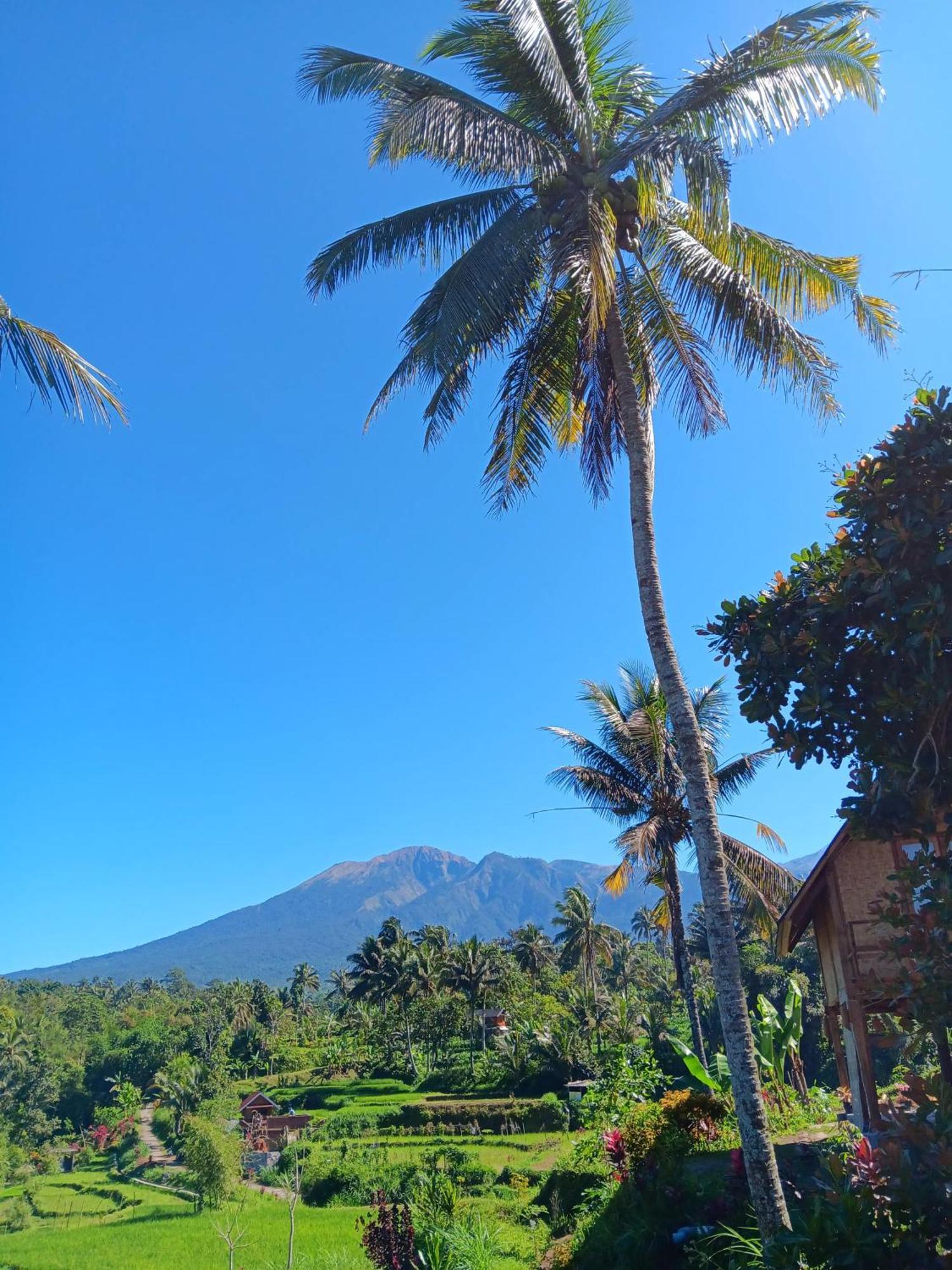 Dewi Rinjani Homestay 테테바투 외부 사진