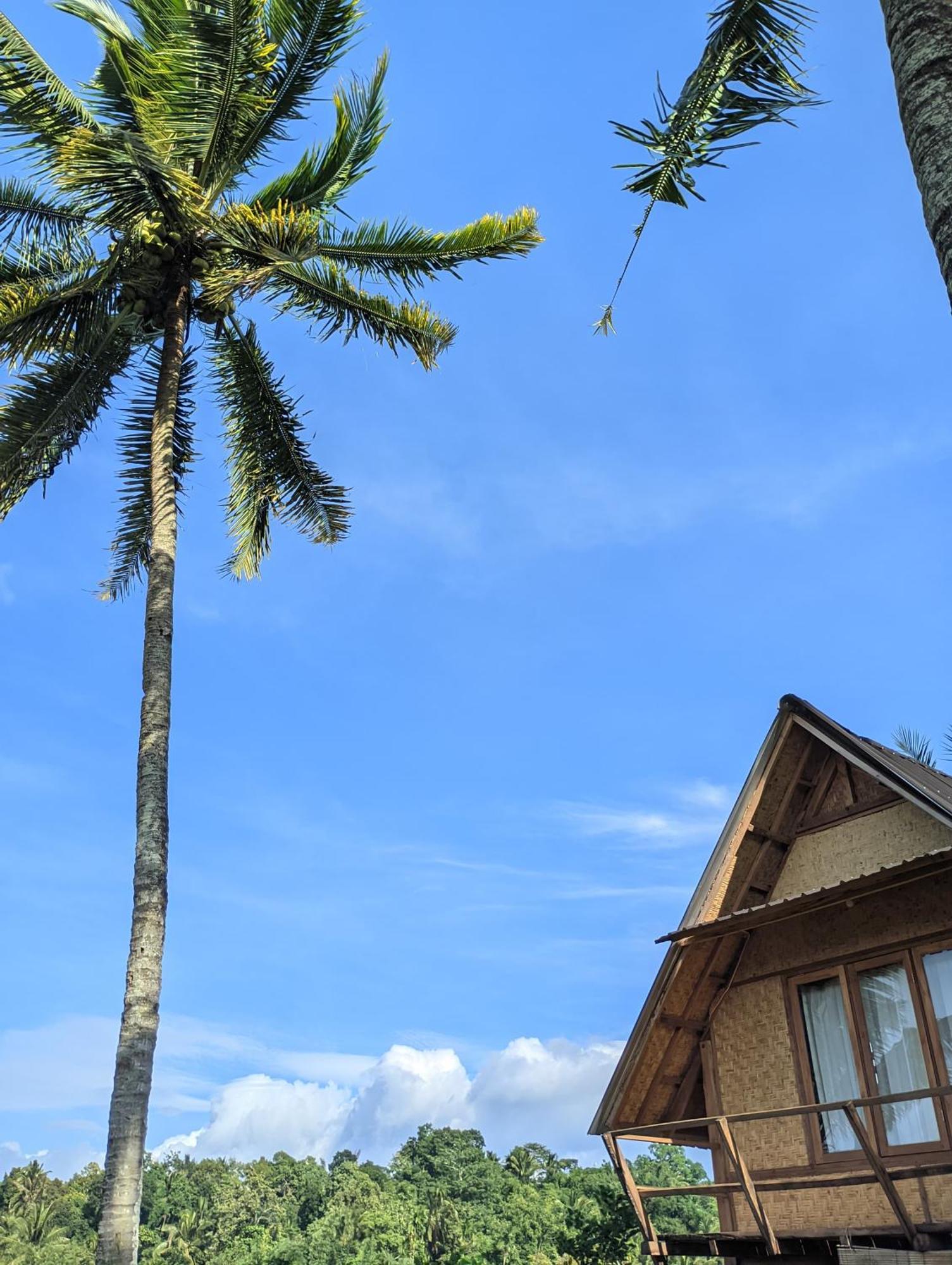 Dewi Rinjani Homestay 테테바투 외부 사진